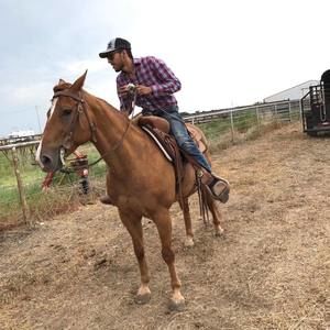 Meet your Posher, Jonathan